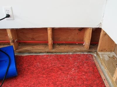 Professional water damage mold prevention services in Edmonton